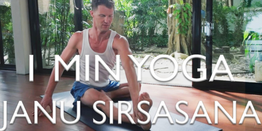 1 Minute Yoga-Janu Sirsasana