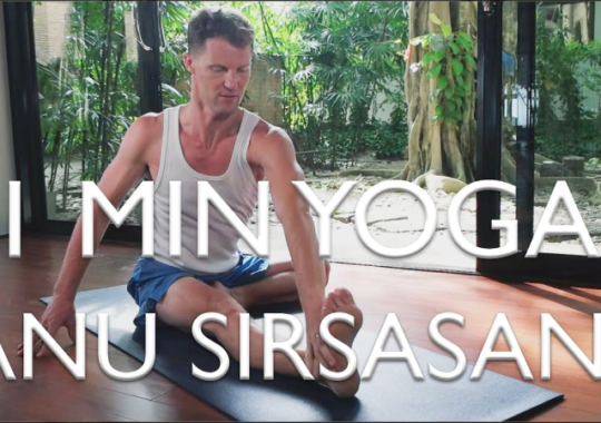 1 Minute Yoga-Janu Sirsasana